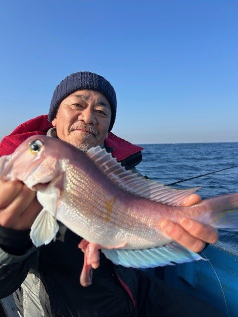 アマダイ(アカアマダイ)