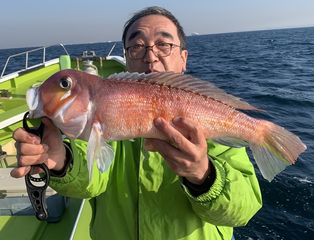 アマダイ(アカアマダイ)