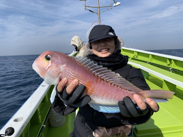 アマダイ(アカアマダイ)