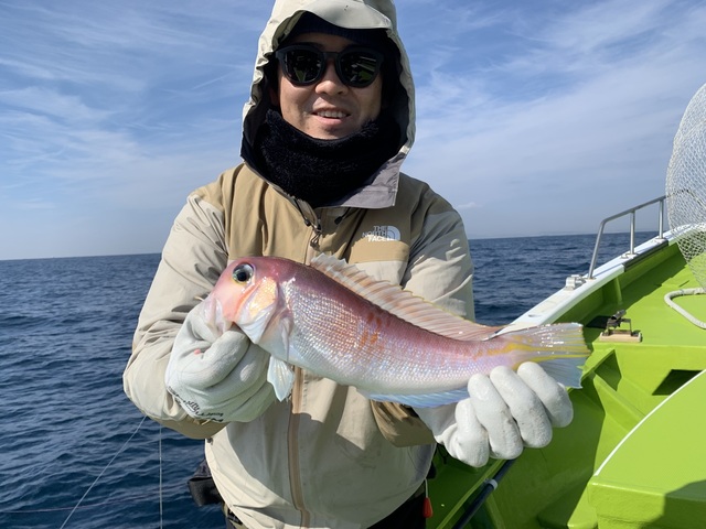 アマダイ(アカアマダイ)