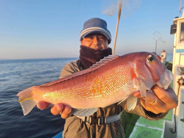 アマダイ(アカアマダイ)