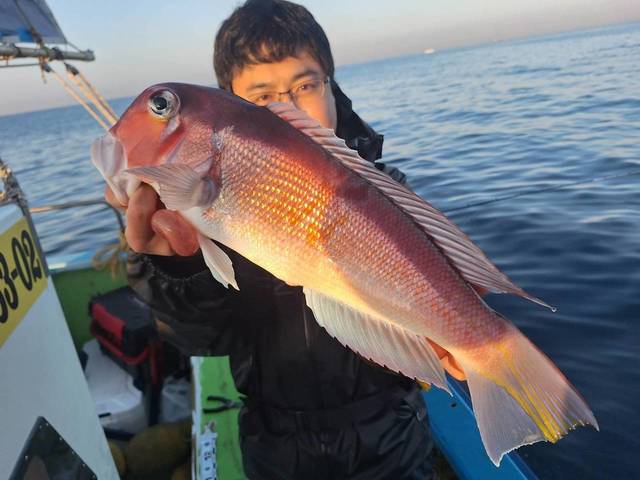 アマダイ(アカアマダイ)