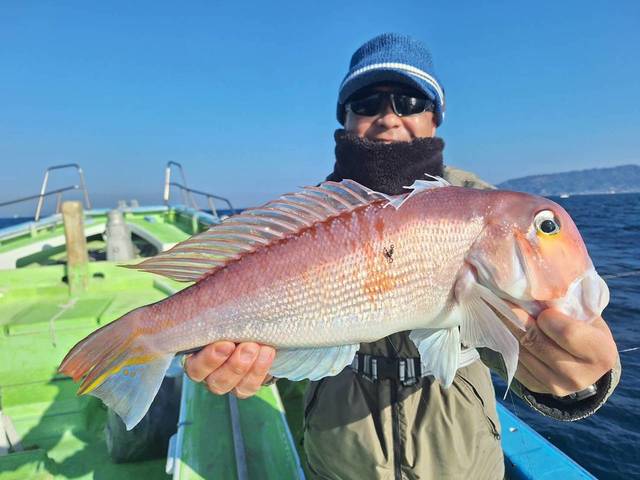 アマダイ(アカアマダイ)