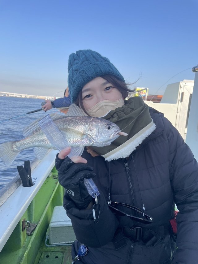 イシモチ(シログチ)