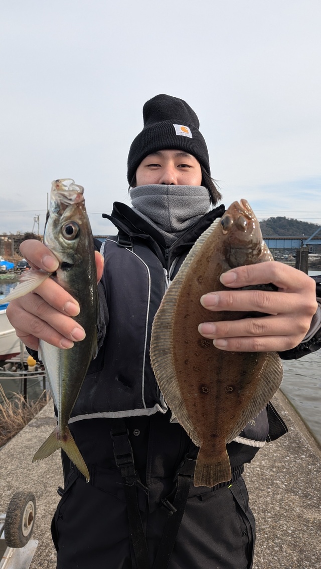 アジ(マアジ)・ムシガレイ