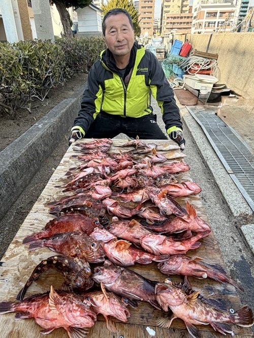 ガシラ(カサゴ)・メバル