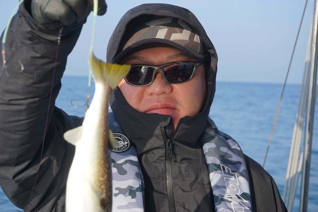 ショウサイフグ