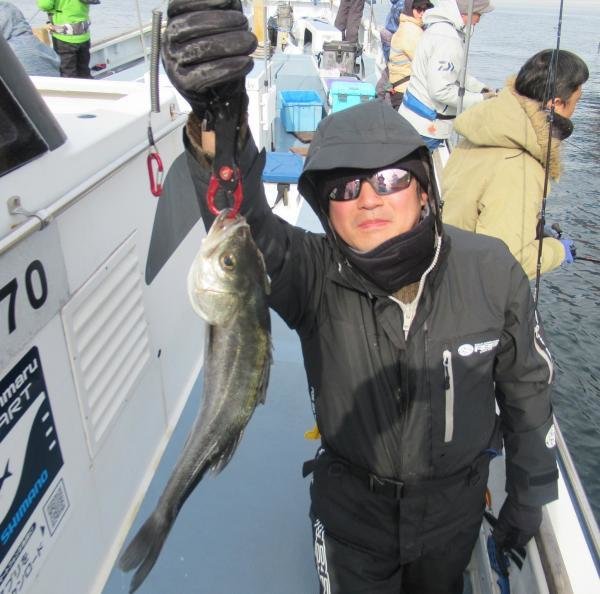 シーバス(スズキ)