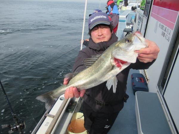 シーバス(スズキ)