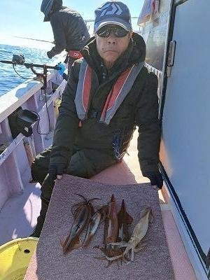 ヤリイカ・スルメイカ