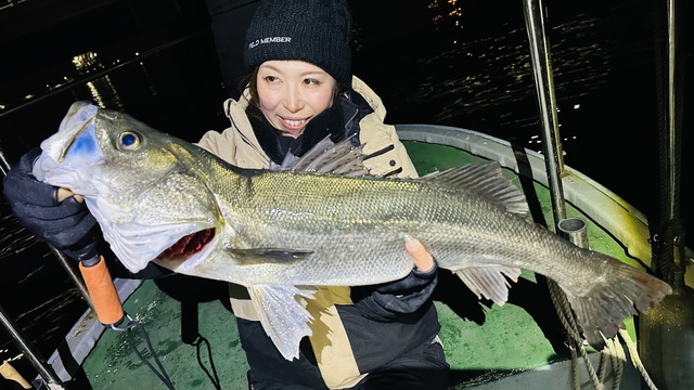 シーバス(スズキ)