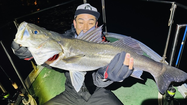 シーバス(スズキ)