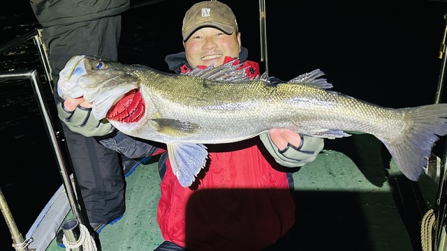 シーバス(スズキ)