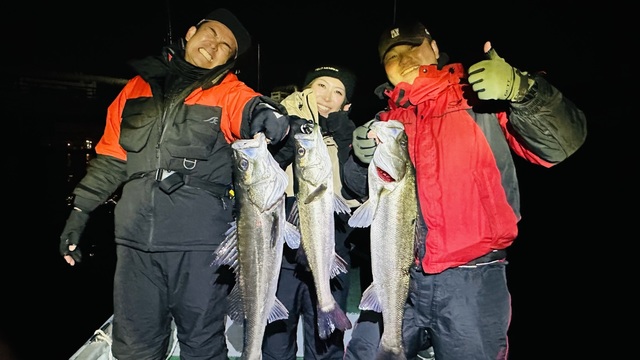 シーバス(スズキ)