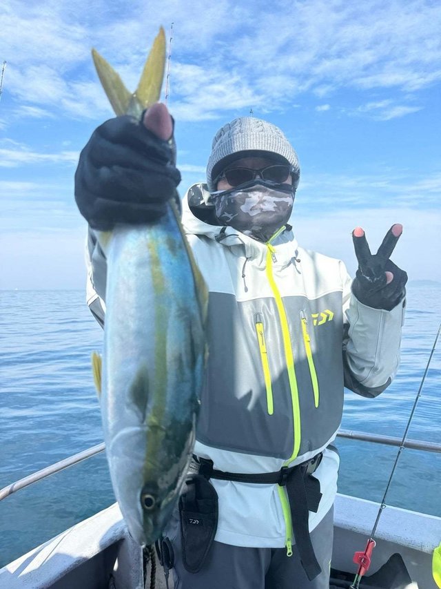 ハマチ(ブリ)