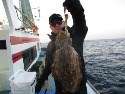 スミイカ(コウイカ)