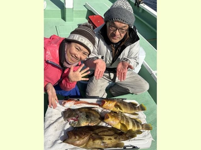 ホウキハタ・アオハタ・マトウダイ