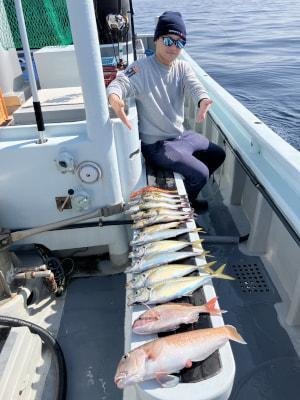 マダイ・アカイサキ・ヒラアジ(マアジ)・イサキ・シロアマダイ