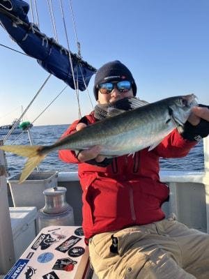 ヒラアジ(マアジ)