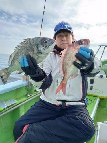 マダイ・クロダイ