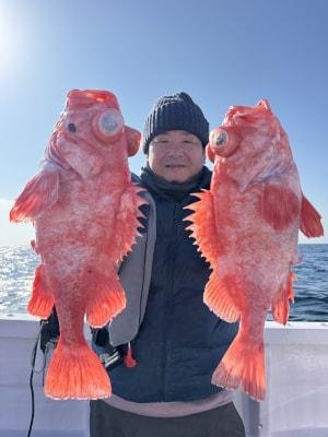 アコウダイ