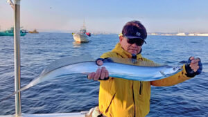 タチ(タチウオ)