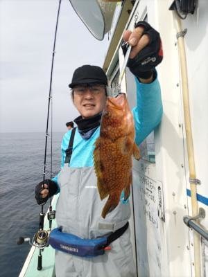 アコー(キジハタ)