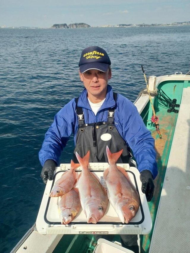 マダイ・ハナダイ(チダイ)