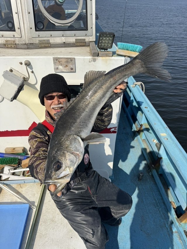 シーバス(スズキ)