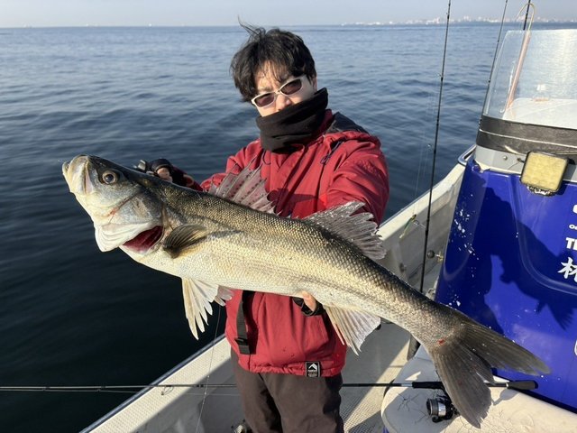 シーバス(スズキ)