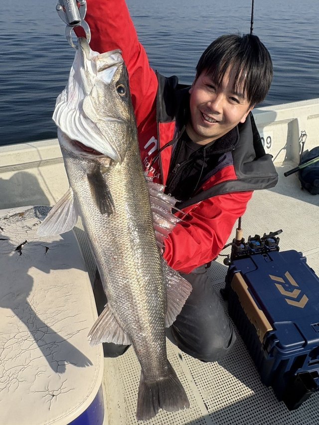 シーバス(スズキ)