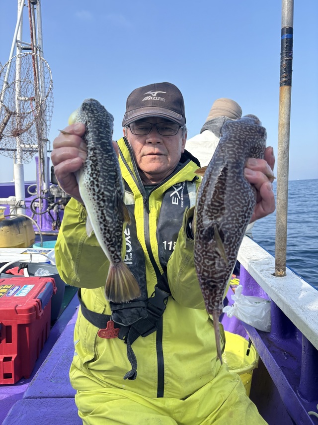 フグ(ショウサイフグ)