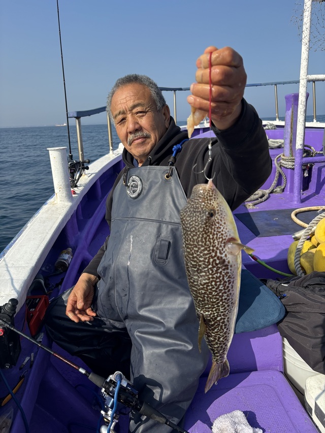 フグ(ショウサイフグ)