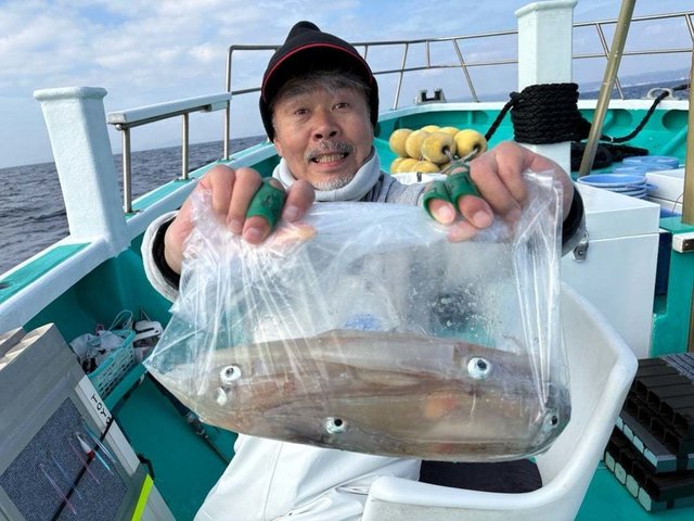 マルイカ(ケンサキイカ)