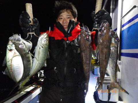 マアジ・クロムツ