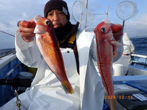 アマダイ(アカアマダイ)