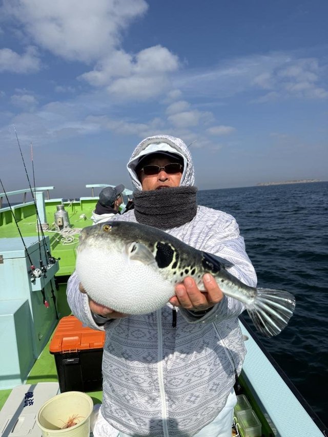 フグ(トラフグ)