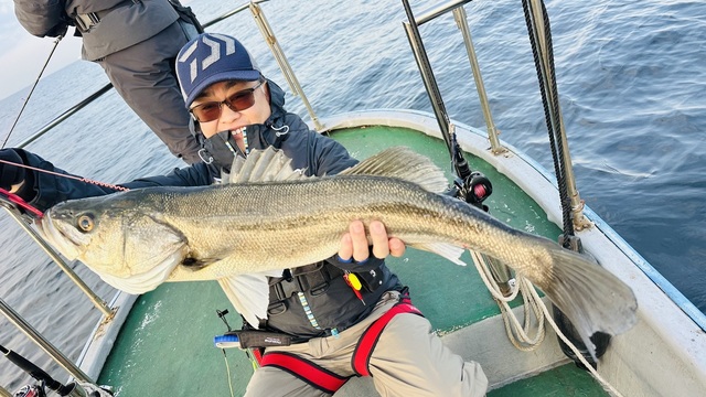 シーバス(スズキ)