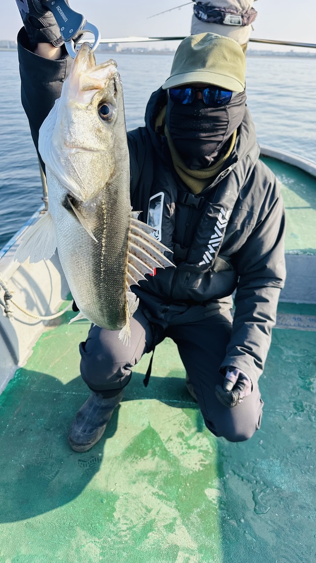 シーバス(スズキ)