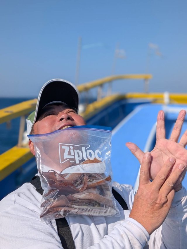 スルメ(スルメイカ)