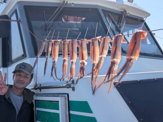 スルメ(スルメイカ)