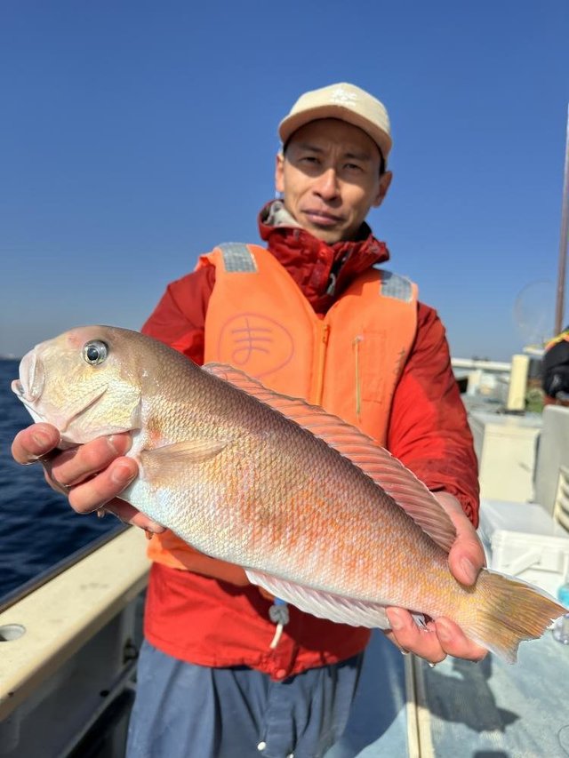 アマダイ(アカアマダイ)