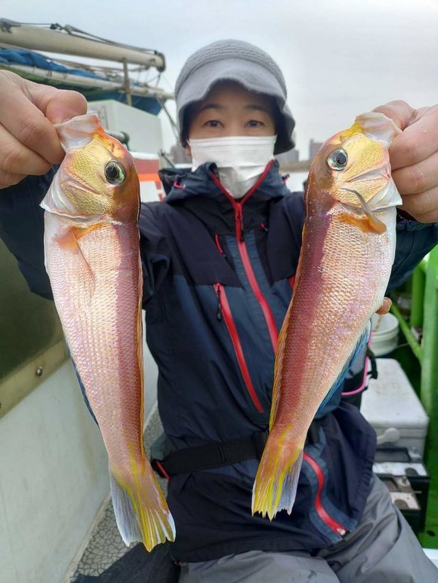 アマダイ(アカアマダイ)