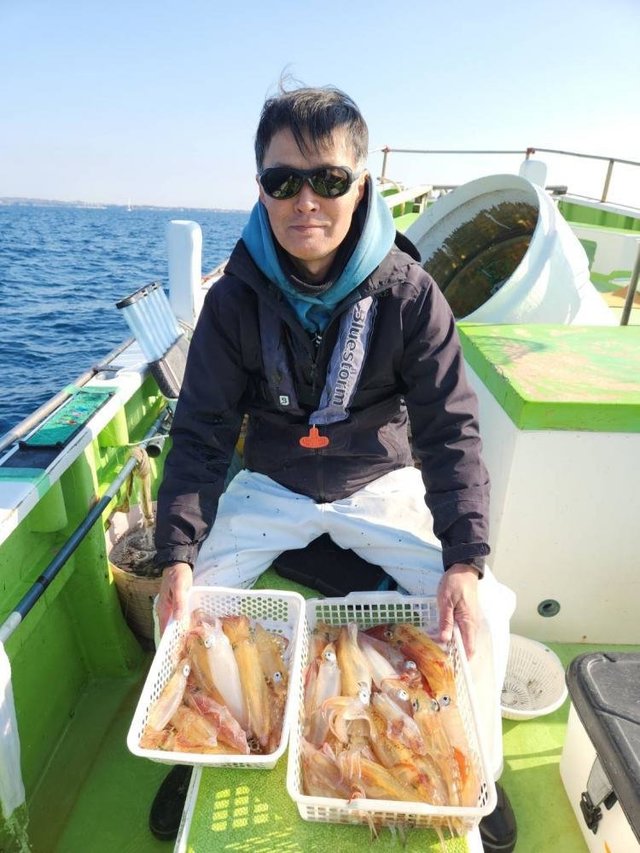 マルイカ(ケンサキイカ)