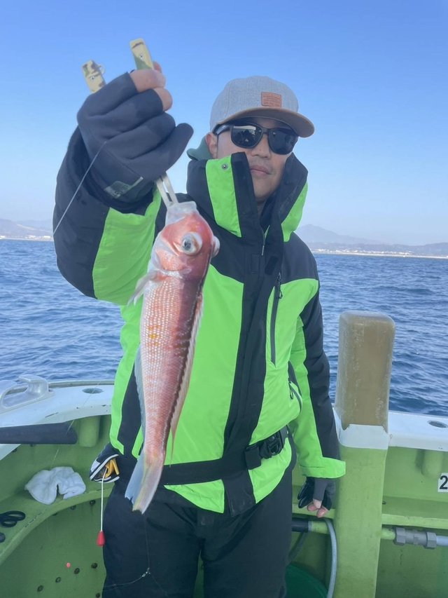 アマダイ(アカアマダイ)