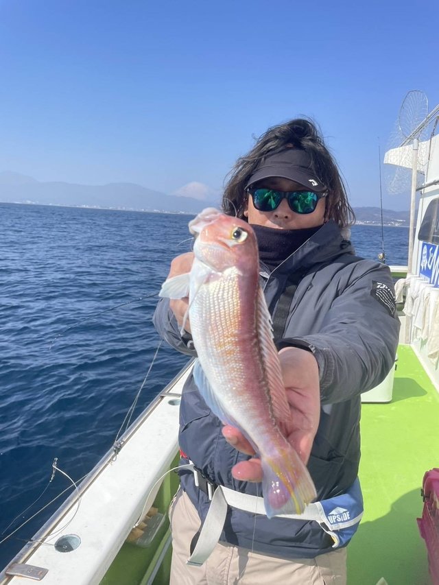 アマダイ(アカアマダイ)