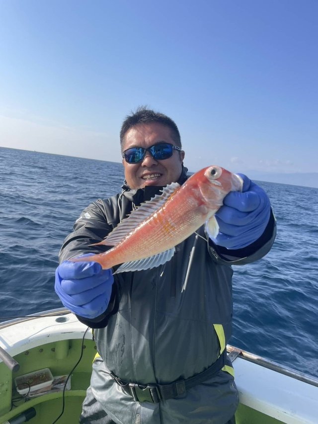 アマダイ(アカアマダイ)