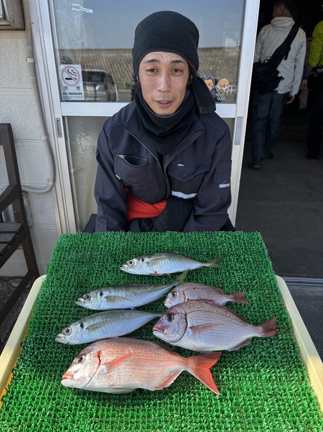 マダイ・アジ(マアジ)