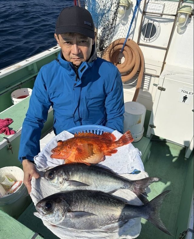 メダイ・カンコ(ウッカリカサゴ)