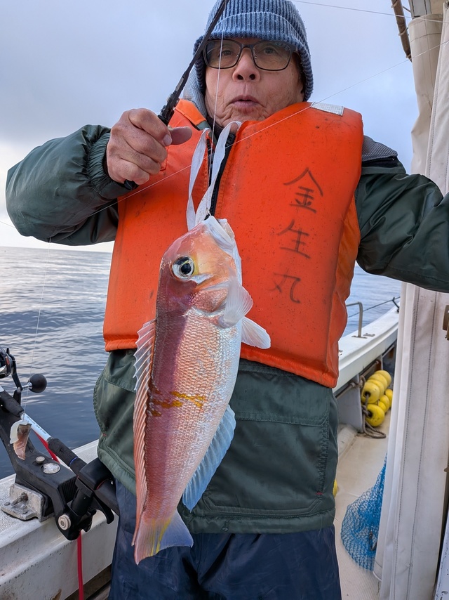 アマダイ(アカアマダイ)